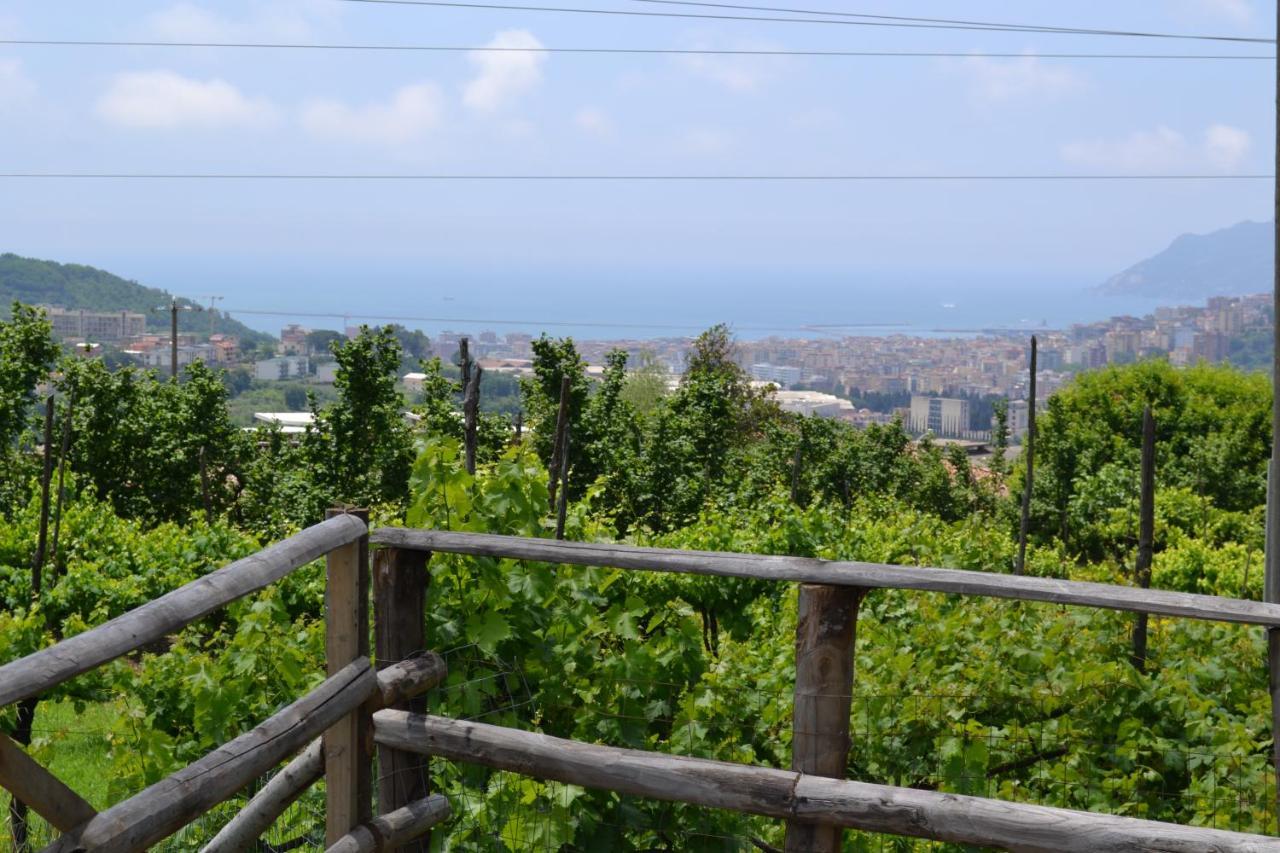 B&B Green Valley Salerno Exterior photo