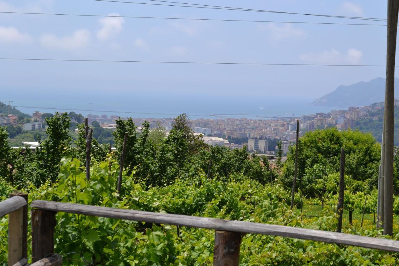 B&B Green Valley Salerno Exterior photo